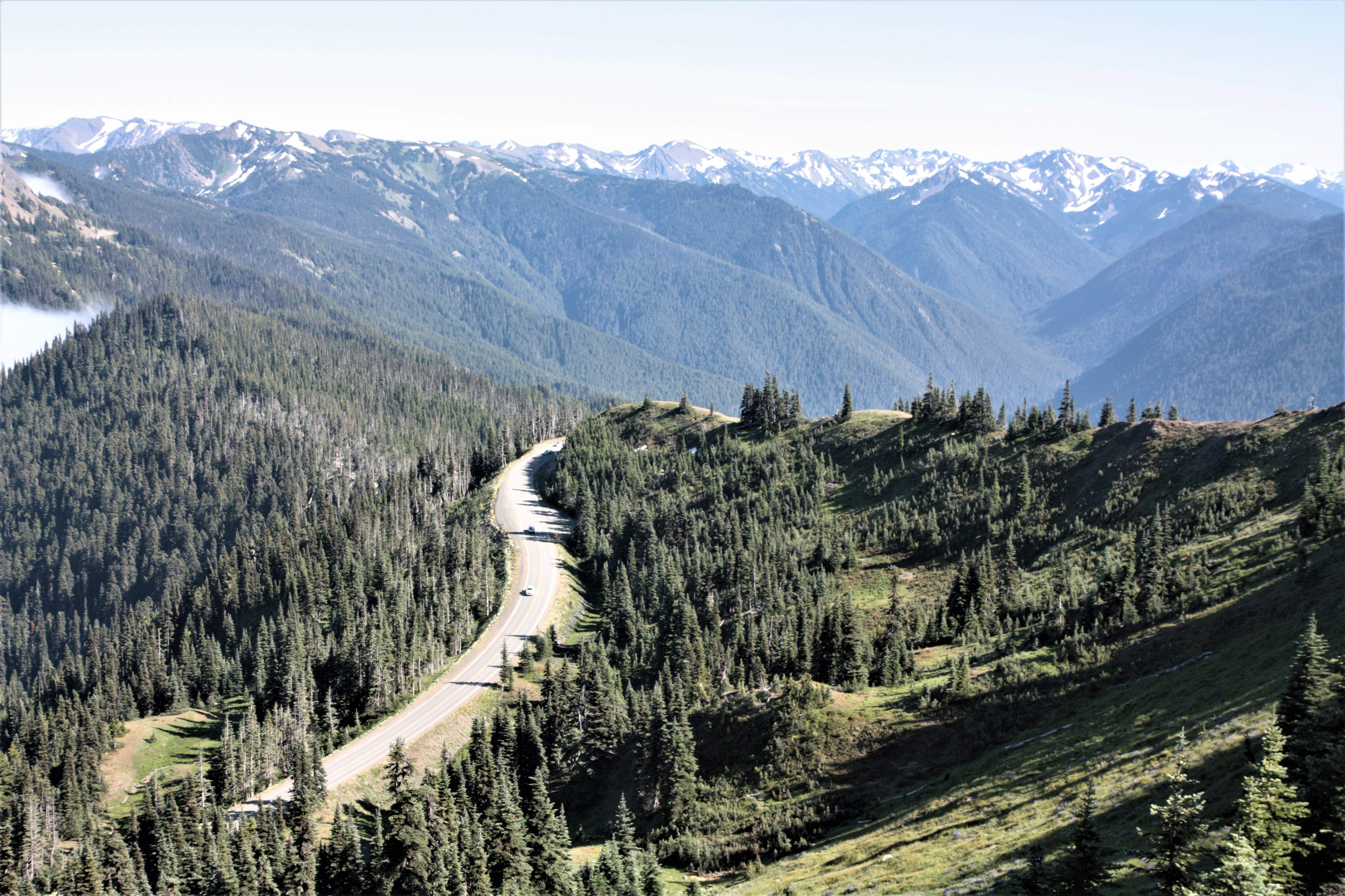 Olympic NP